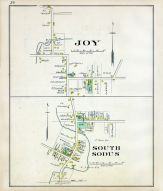 Joy, South Sodus, Wayne County 1904